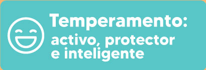 temperamento